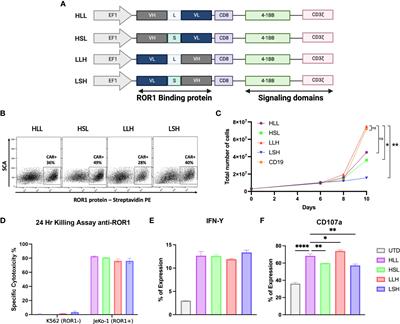 ICOS and OX40 tandem co-stimulation enhances CAR T-cell cytotoxicity and promotes T-cell persistence phenotype